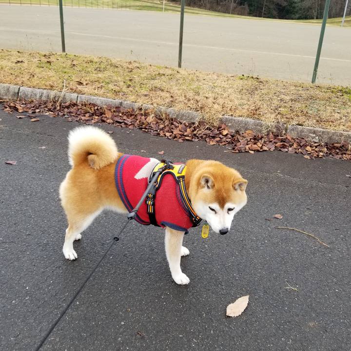 8a76b335 2fac 4349 9264 96e87888b058 1607409977754