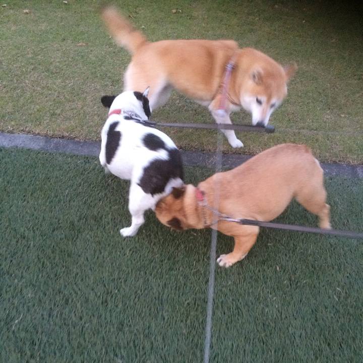 8a76bd38 d538 4a9f a9f1 ec40fc4673da 1550420540827