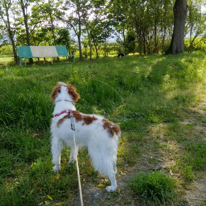 8a7715f4 3f2a 43a5 82e1 c5a24811c048 1558236292070