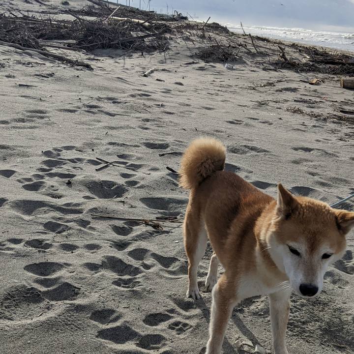 8a77485e 291a 414e 8680 3273242d6aac 1693443967626