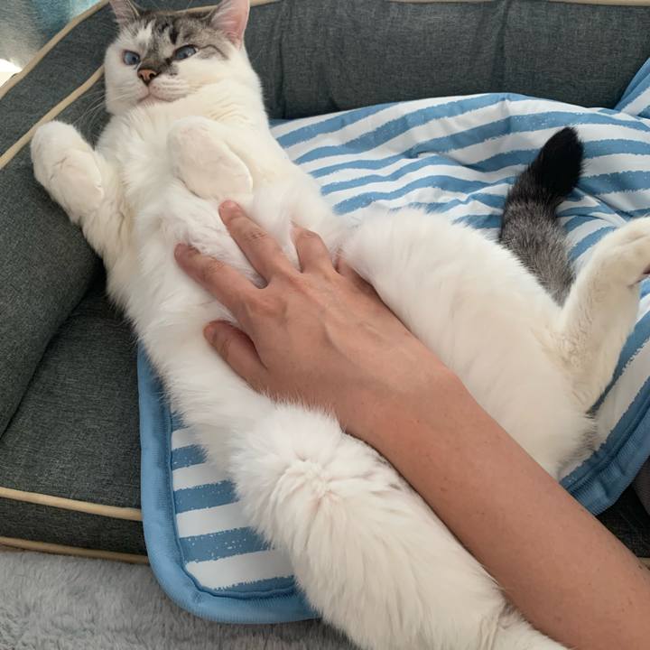 8a774fa8 3b10 44f7 8b21 58e723587117 1656743776714