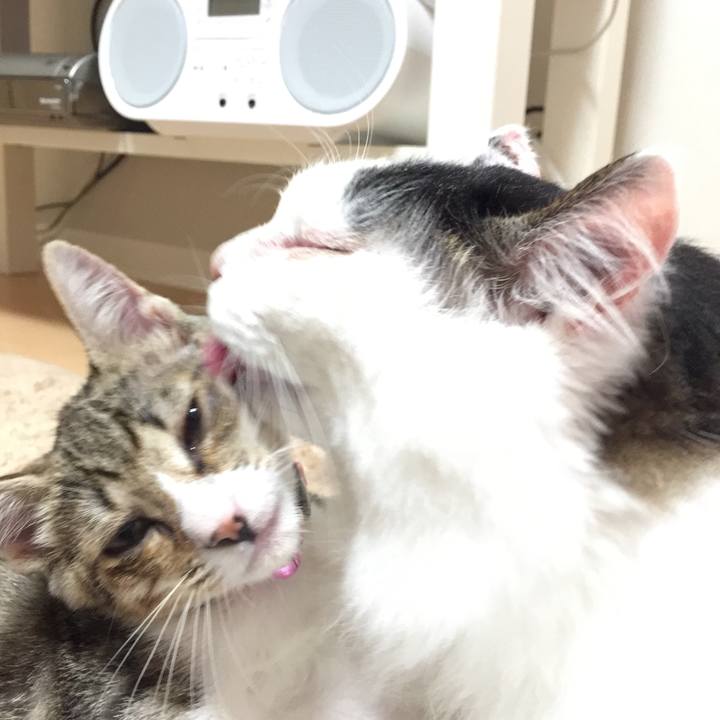 8a77617a 5921 4428 892d db8066307c88 1536308340490