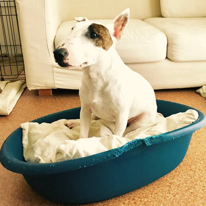 8a77b4ee 18ef 44fc 86b6 f7c659f6a36a 1508037019007