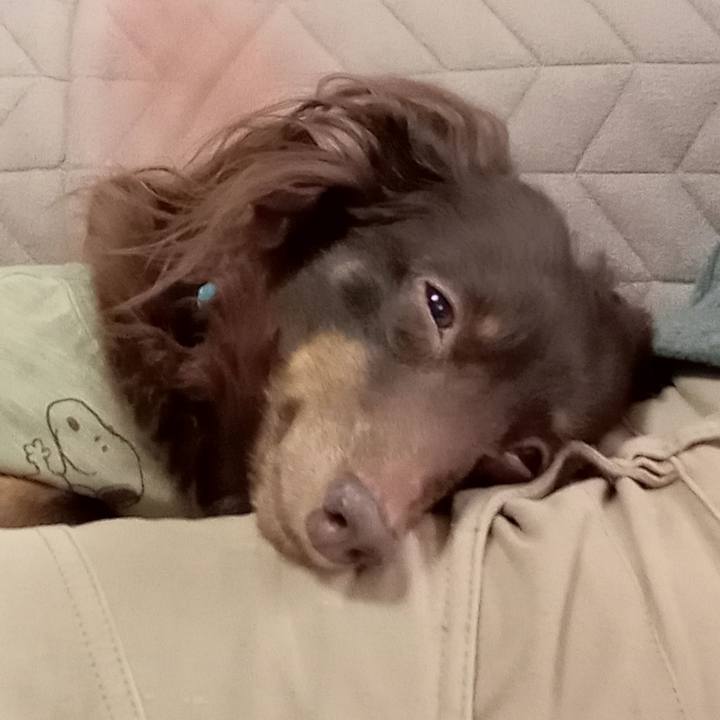 8a77bad2 6d72 4008 baec 3d5b6ba0b298 1766526817234