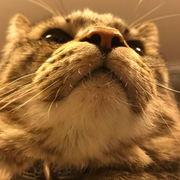 8a77c1b2 6c34 443d 9ca5 dbfe8d81a241 1559646858265