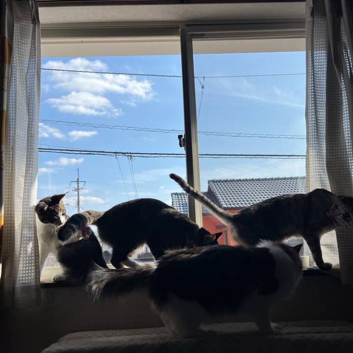 8a77e023 6683 4623 b605 ff45f72ec97d 1773017592518