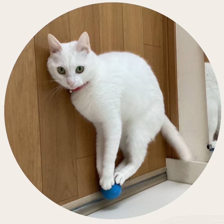 8a780455 8810 42e4 8477 a6831d94909a 1713526220083