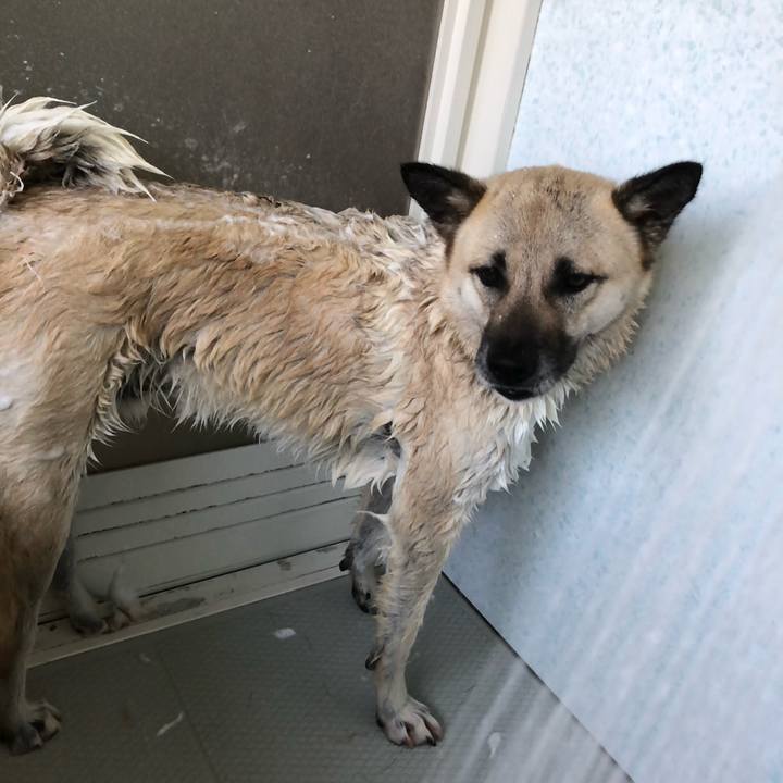 8a78161e e307 4abf 9a3f 4b4cf7d0faa3 1592653078321