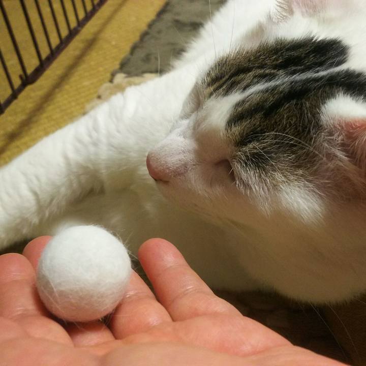 8a7817f0 a063 4a0b b60e 00f6445392d9 1548690423147