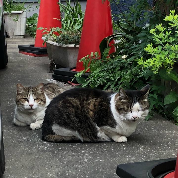 8a781f0f 7f47 4089 a8b7 35d1cc9fb87a 1524730667655