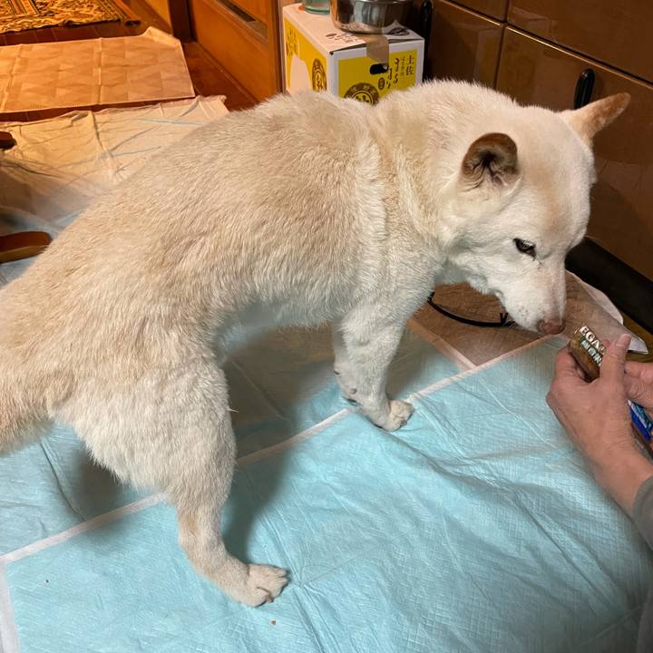 8a783272 4376 41fd aff6 c0bda4fab3fe 1637488748322