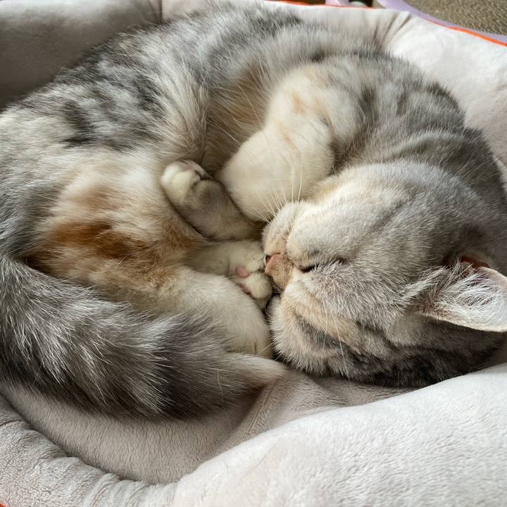 8a78470f d8ac 449f 91ca 9edb618e3caa 1765000176701