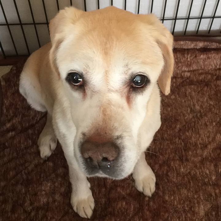 8a785b50 cecb 4383 9a5b 16d01c4a259e 1521346125432