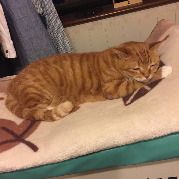 8a7867d6 334e 4df6 a2a4 7acee0b92af9 1558957280229