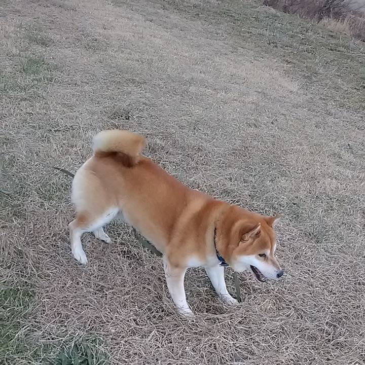 8a789683 aef9 4af9 8161 9c595750b2cd 1580991974829