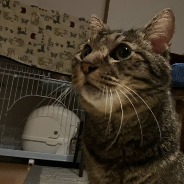 8a78be1d 1195 4d9c b690 0c0ebf231545 1758553686402