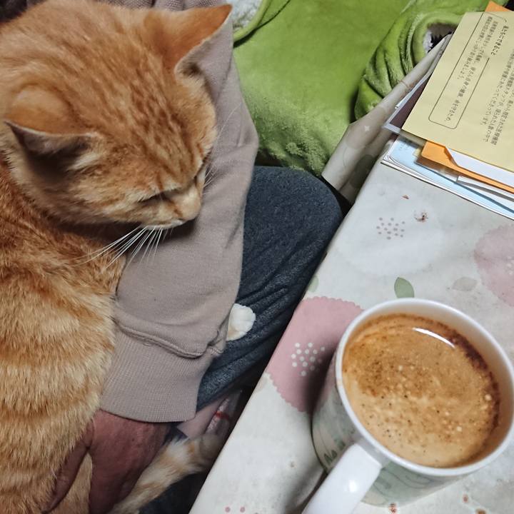 8a78cbdf a33b 416b 8686 ed991dc4a1c8 1588103572030