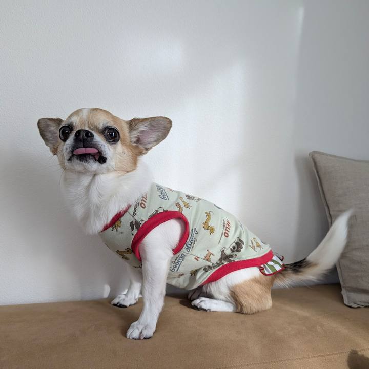 8a796e86 c4d9 4b60 ae92 9551115c01ed 1742192040306