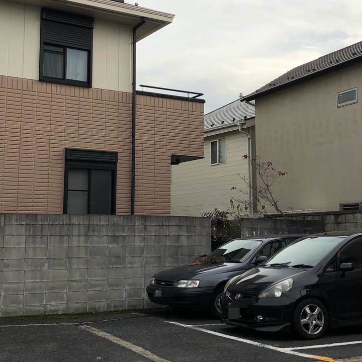 8a79829c 50f6 4b2e a19f 72577ee50eba 1543829653252