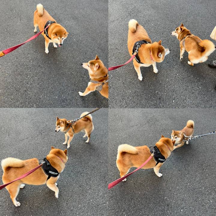 8a799f6e b425 4c3a aa49 35135ae79c6d 1654166596871