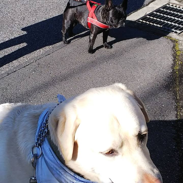 8a79d455 51a8 48de be5d 9be3c91ed41c 1582861895575