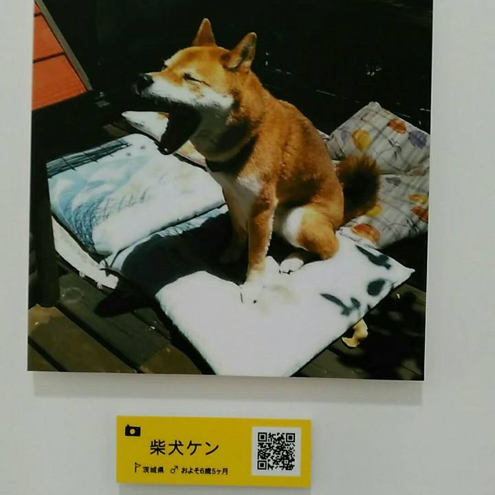 8a79e65d 1ed3 4dd9 9cd2 d37a05bbff08 1560074872564