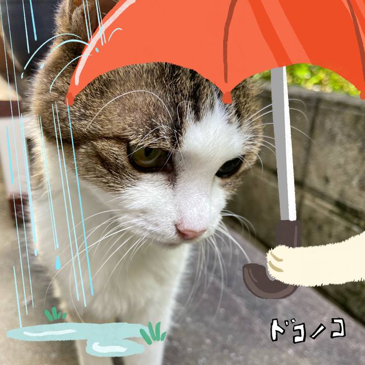 8a7a0fda fbe4 44ec bc33 e0adf35185bd 1749122877544