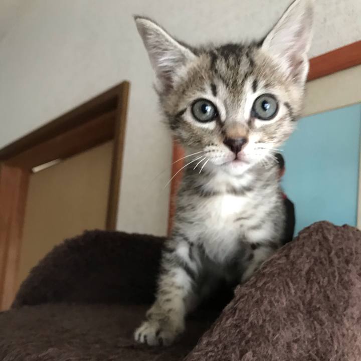 8a7a10d8 13de 433e b630 9eb149c03977 1561241767193