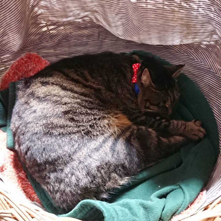 8a7a2f41 5fbe 42ab 85d4 1d4db1233c4d 1640521892010