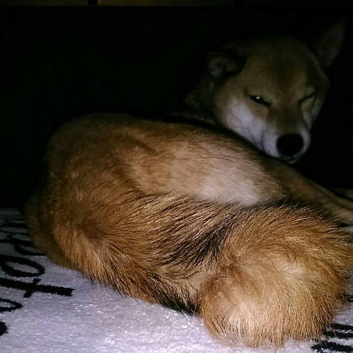 8a7a3ebc e34e 4cde 9db2 e0bd5b8dfe85 1550585813034