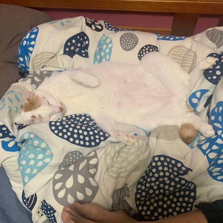 8a7a9901 2d33 4ed4 bb33 6a5bd71d8727 1665741719457