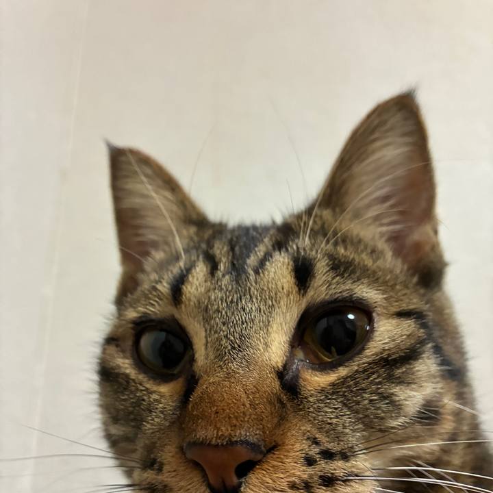 8a7aa48a dc40 4f12 8460 d7130826c132 1758625207378