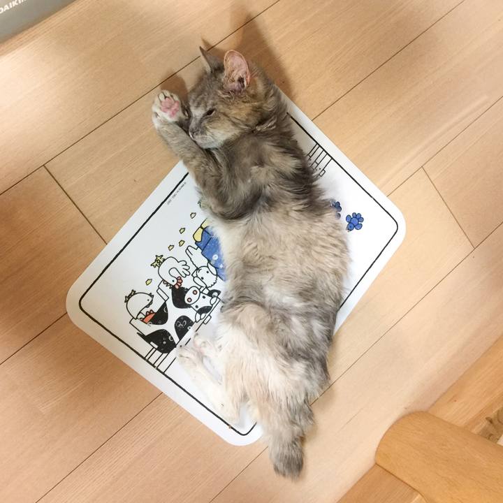 8a7abbcf 6b6d 47a4 806b 467497d01740 1586956697807