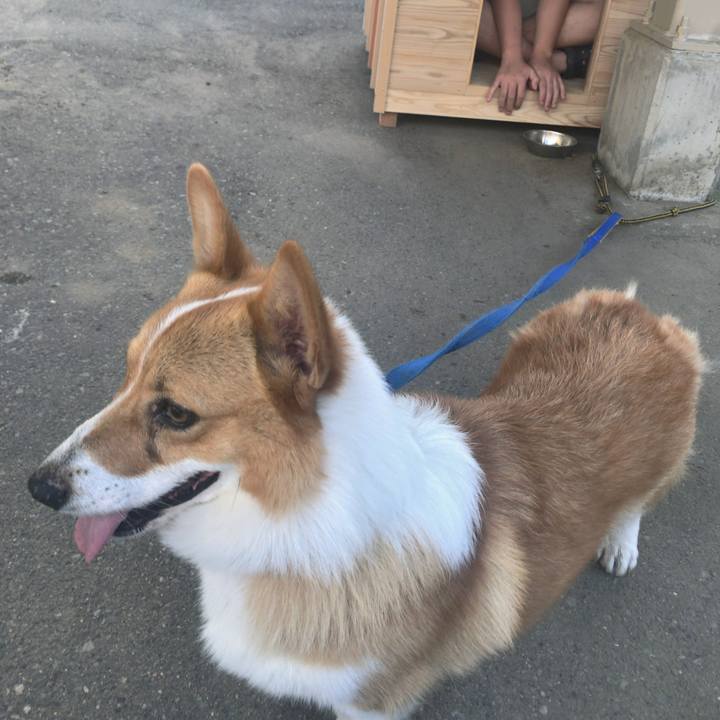 8a7abd9c 56b8 4982 8336 399b630c7528 1533901822906