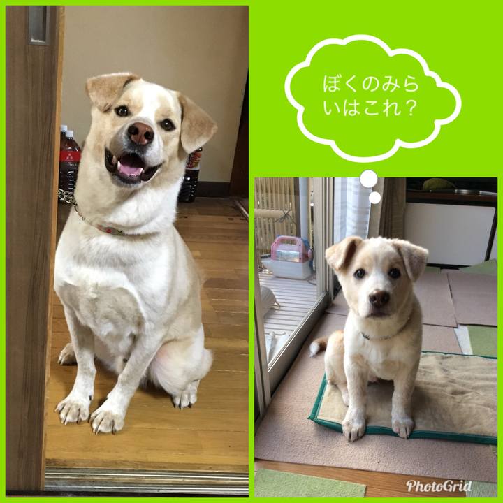 8a7ae9e8 2750 4aaf be32 9d29e319ef14 1524713370147