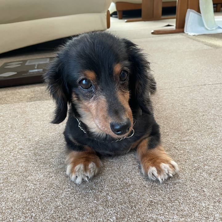 8a7af32a e629 49c6 bc91 ac01ea1b6240 1633902738821