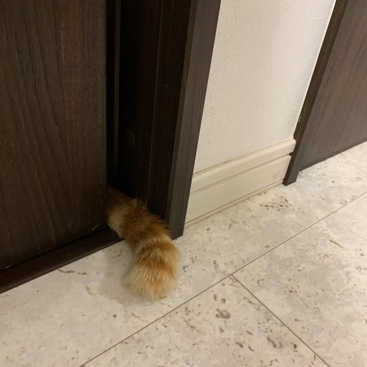 8a7b2027 b064 495f b859 0375e3bcd02c 1625398679223