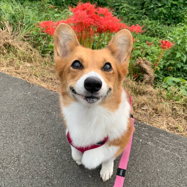 8a7b2de0 9160 468a a984 76e05ab8f8f9 1663405315347