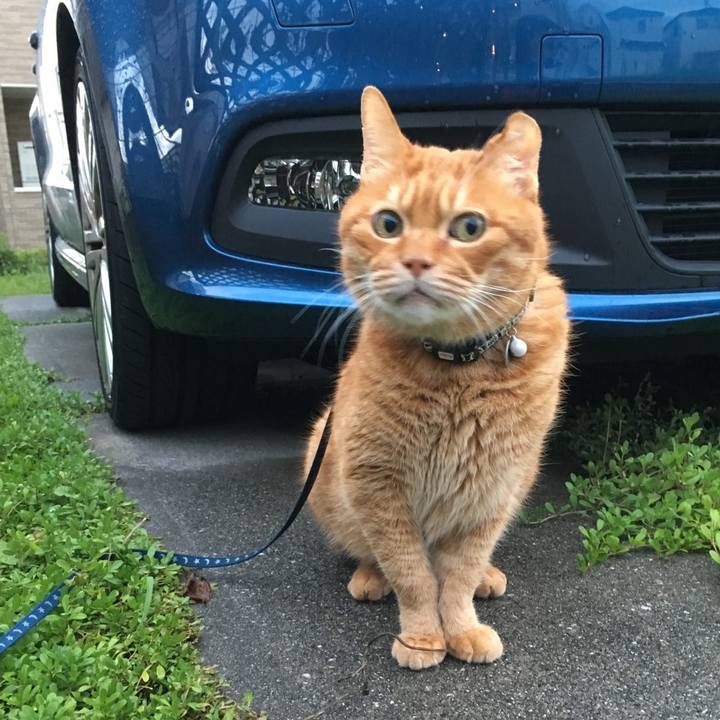 8a7b32d0 6c39 4ffc a734 28ff53bfbef7 1755172979804