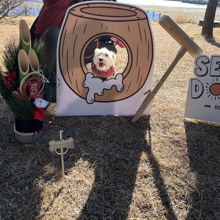 8a7b4b85 9685 4110 a40a 78fbb42cec8a 1768033414770