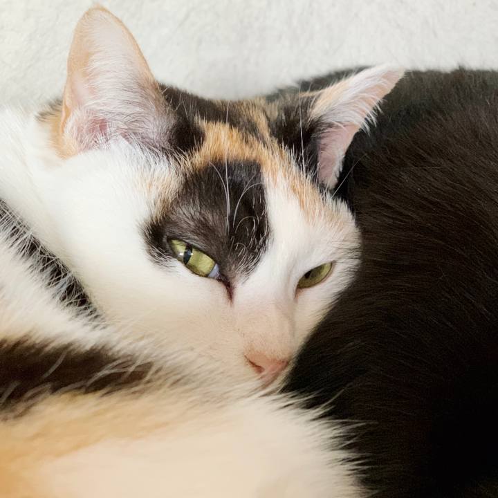 8a7b572d 0e3c 4ff7 bc0f 30145ed9b22f 1551230710975