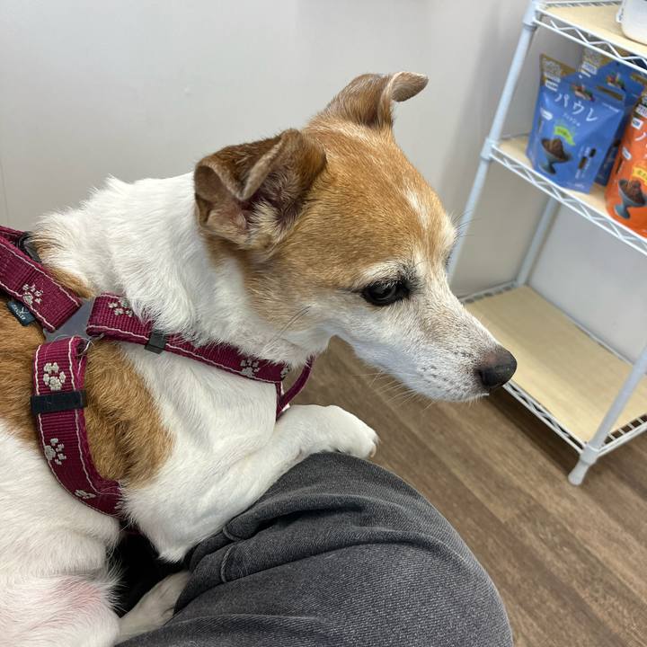 8a7b6e13 c24b 4e4c 9702 f1384d3f3e76 1775261682112