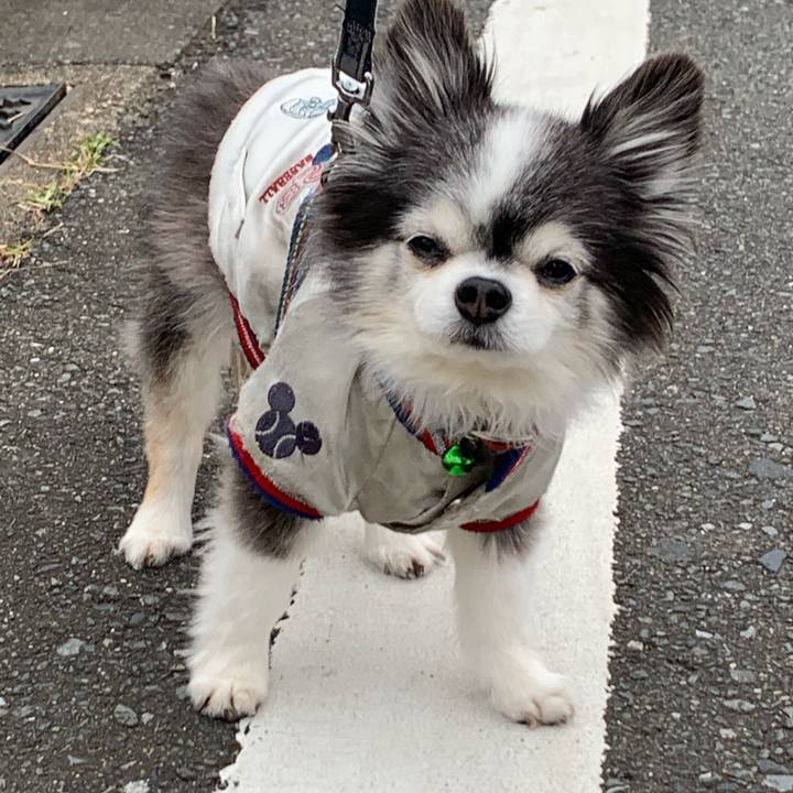 8a7bd7eb e77c 4c49 aa45 36cf241a76aa 1574639200951