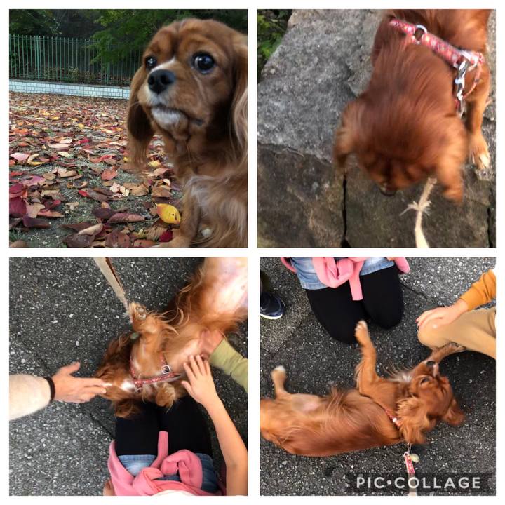 8a7be29c f5df 406c 8ca8 d926552fceca 1573987435625