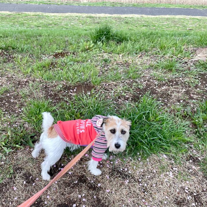 8a7bfb3c d90b 45c1 b944 61a6eb211976 1648803225571