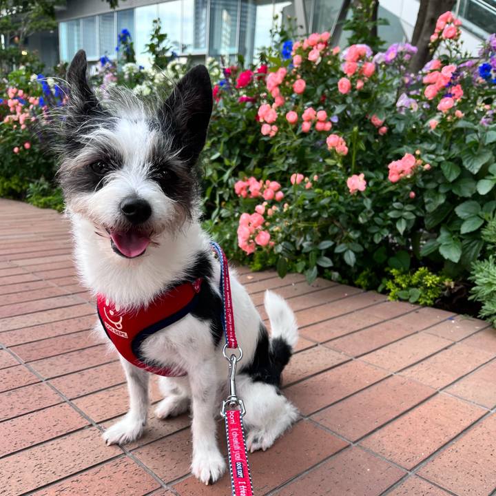 8a7c130a 2e0d 406e ac6b 7f9e1d45fcb9 1652534926438