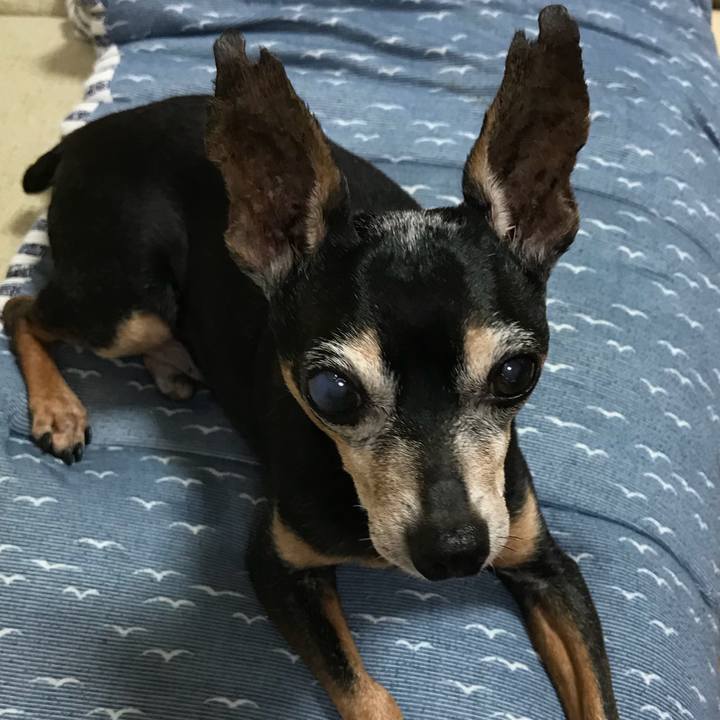 8a7c51a1 2021 4adb bc3a 3a2dda14a9aa 1535580515661