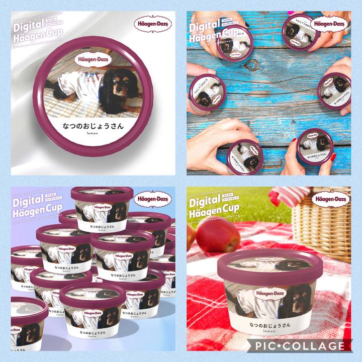 8a7c9f80 7da4 4b33 9893 a0bd3408b5f6 1607569258688