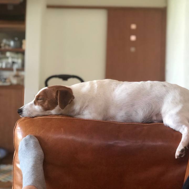 8a7ce617 f1dd 4035 8fa4 d793d6e1b25d 1628148982135