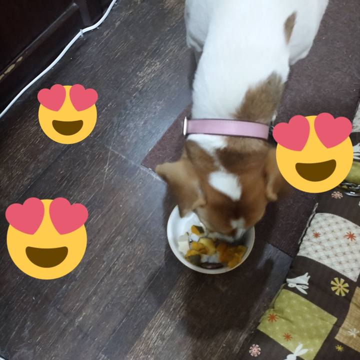 8a7d1fc7 bdca 44a5 9f8b 2998db99ad1b 1580293558557